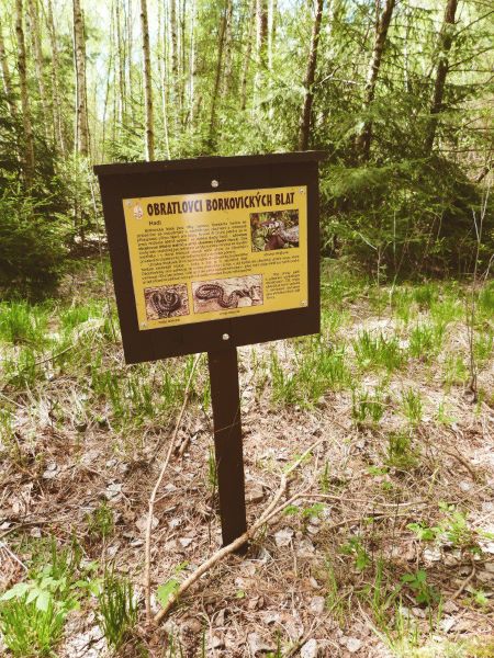 Naučná stezka Borkovická blata.jpg